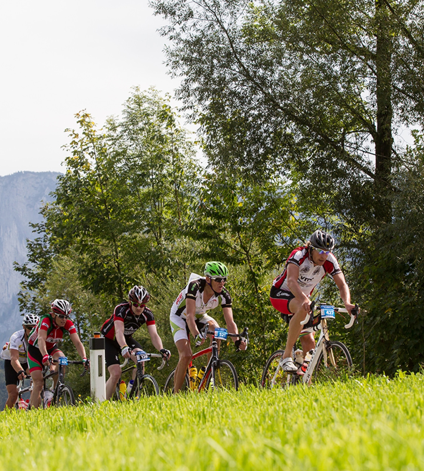 A group of cyclists riding uphill past a grassy bank on a scenic route with trees.