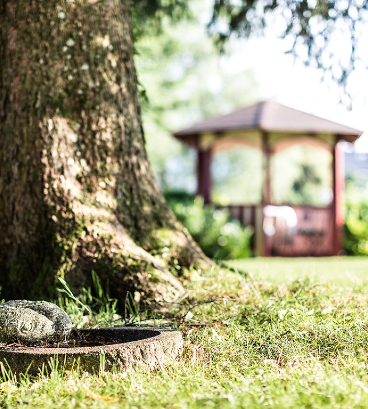 A small stone basin sits at the base of a large tree trunk, with a blurred gazebo in the grassy background.