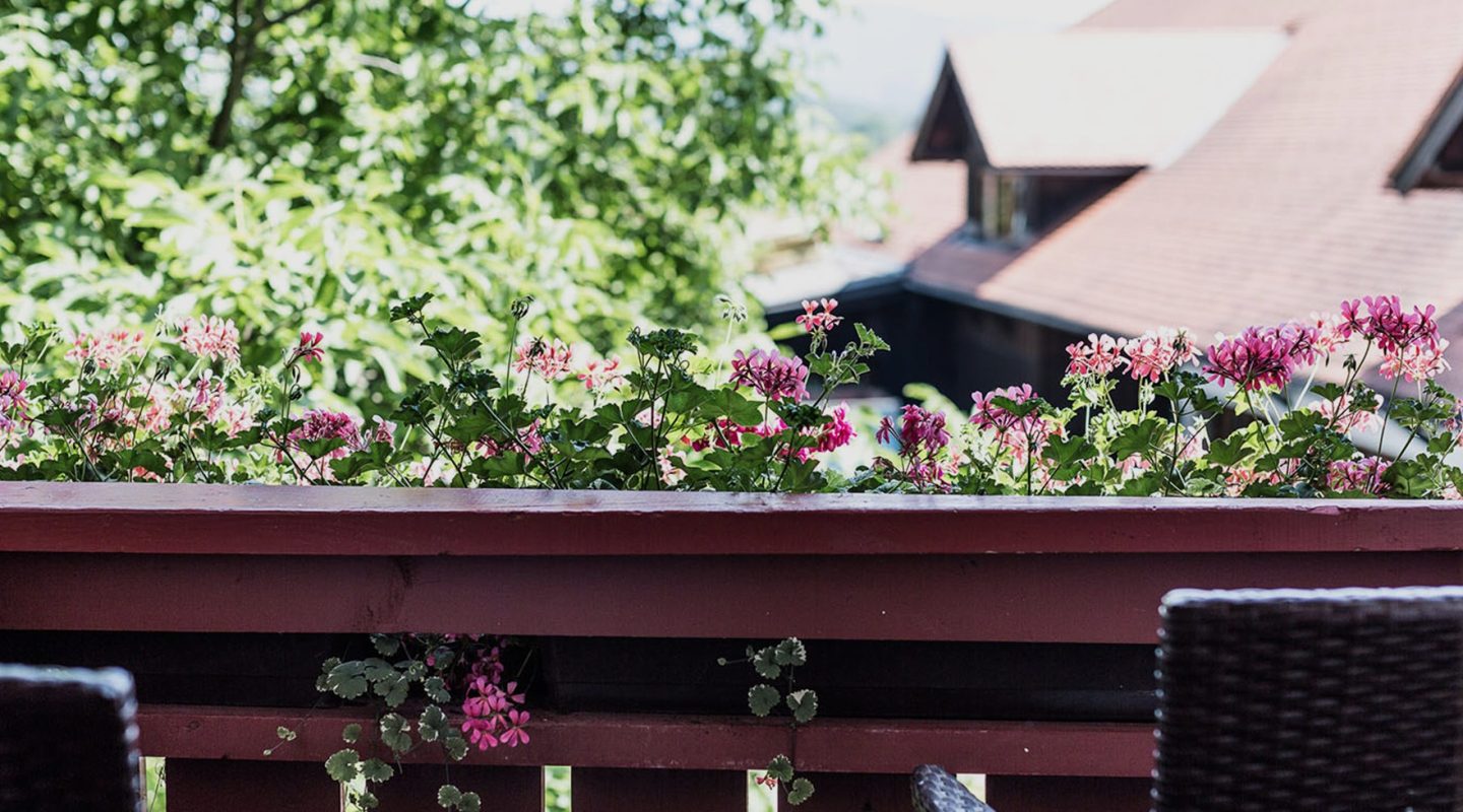 Pink geraniums bloom in a planter on a wooden balcony railing, with a house roof and green trees in the background.
