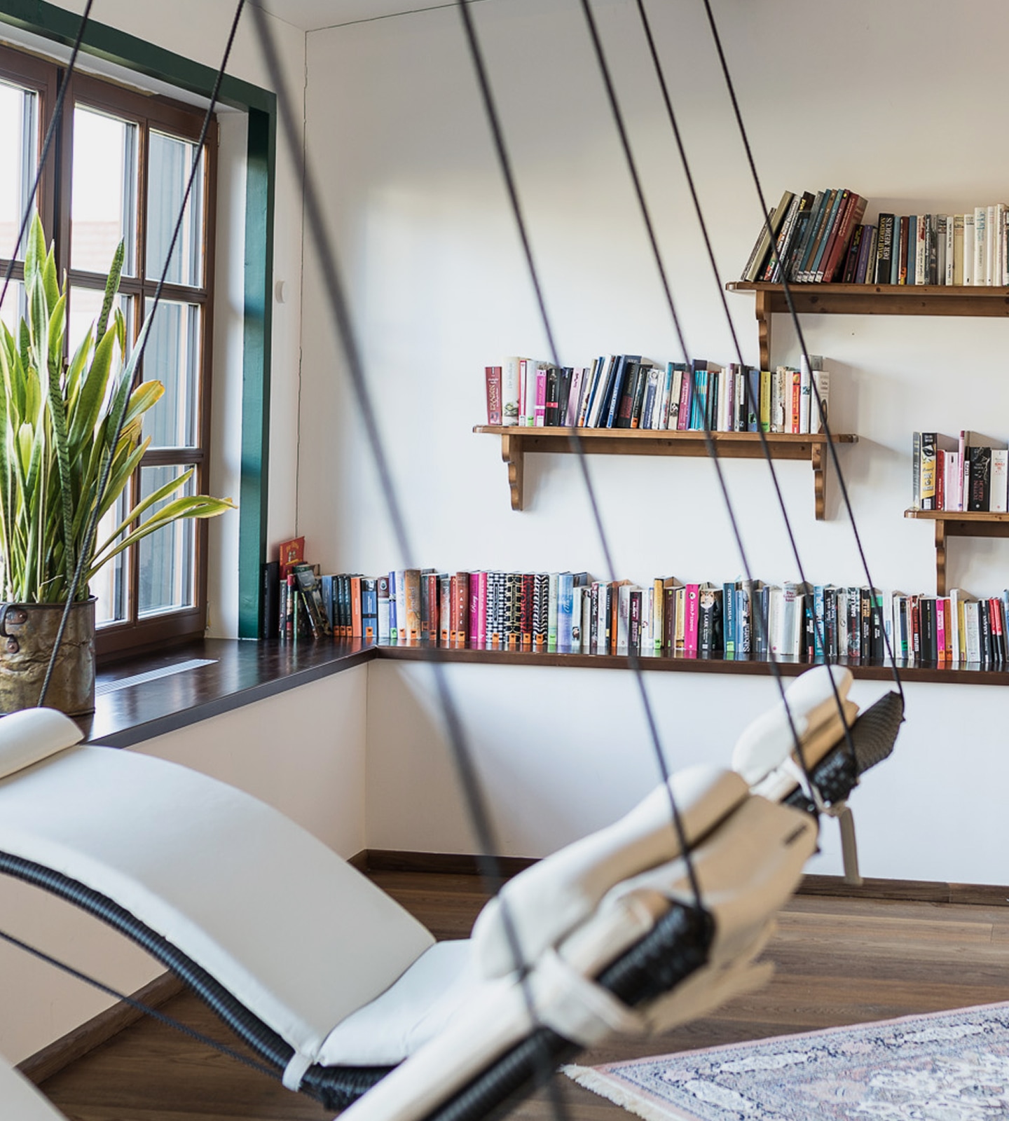 Eine moderne Hängeliege im Vordergrund eines gemütlichen Lesezimmers mit vollen Bücherregalen und einer Pflanze.