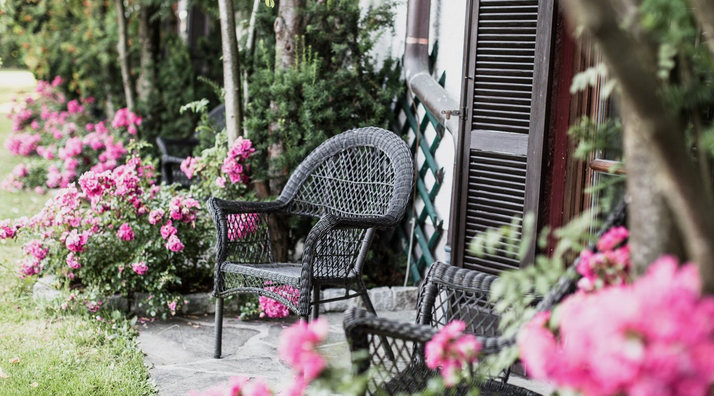 Wicker chairs on a stone patio surrounded by blooming pink rose bushes next to a house with dark shutters.