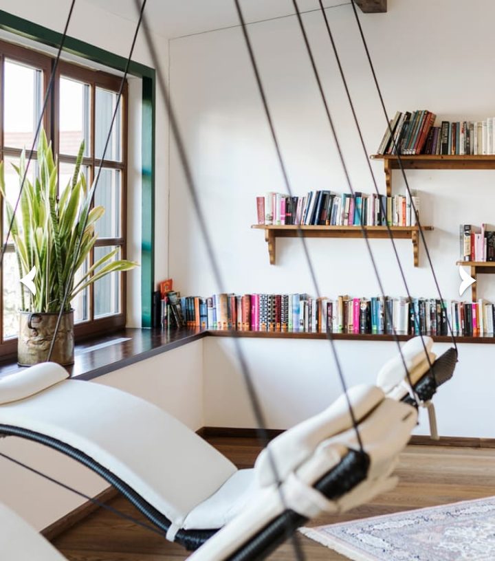 Cozy reading nook with hanging white lounge chairs, bookshelves on walls, and a potted snake plant by a window.